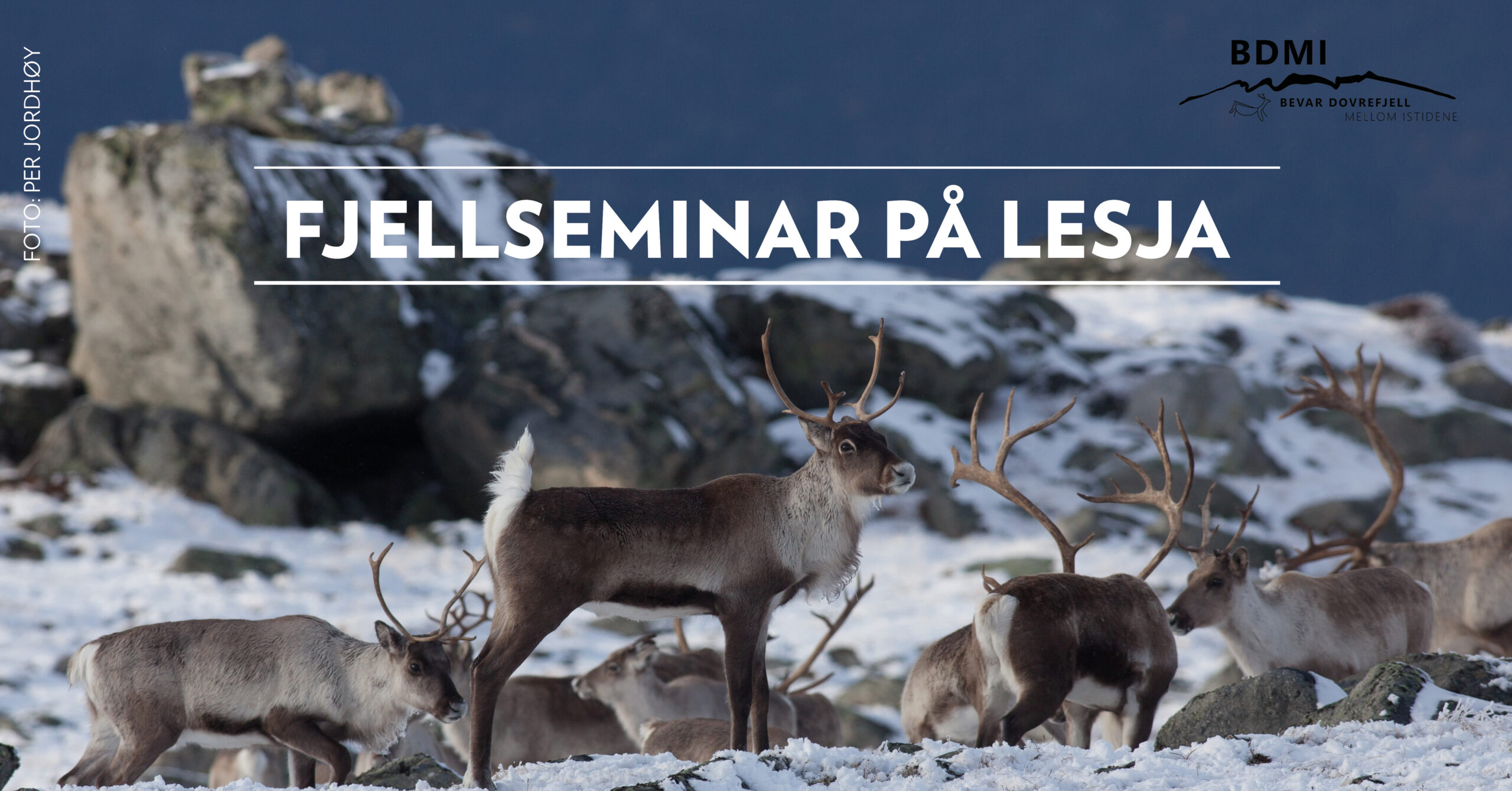 Fjellseminar på Lesja